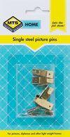 MTS HOME SINGLE STEEL PICTURE PINS 6PC
