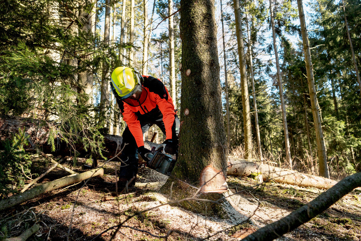 MS 36-18 LTX BL 40 (601613850) Cordless chain saw