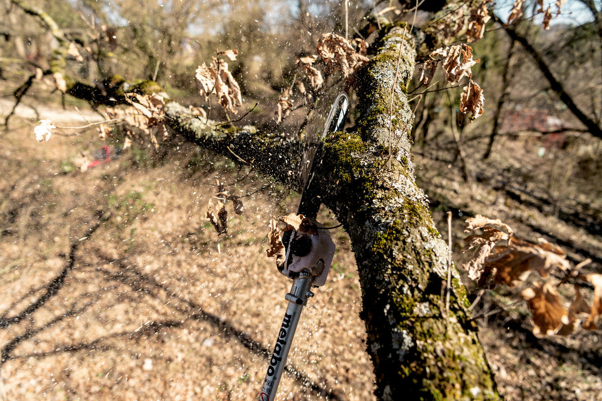 MA-MS 25 (601727850) Pole pruner attachment