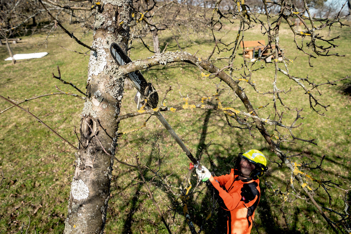 MA-MS 25 (601727850) Pole pruner attachment