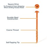 BORA 800-Piece Pocket-Hole Screw Kit Coarse | BR-A180203