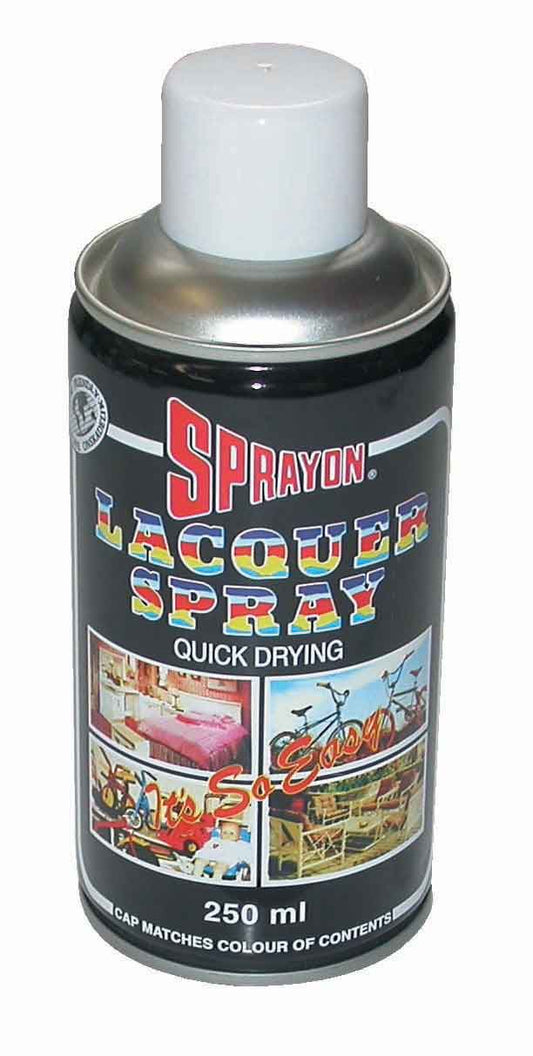 SPRAYON PAINT  WHITE APPLIANCE 250ML   W