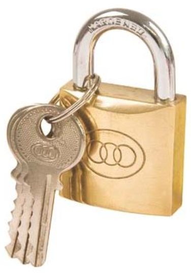 PADLOCK TRI BRASS BOX K/ALIKE 50MM #265