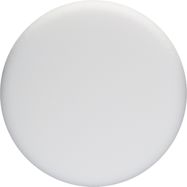 Bosch Professional Soft Foam Disc White Diameter Polishing Sponge