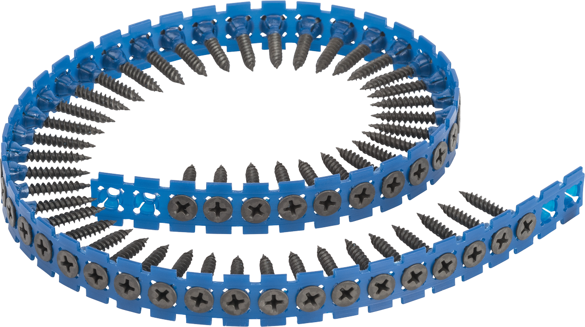 Bosch Professional Gypsum Fibreboard Screw Screw Belt